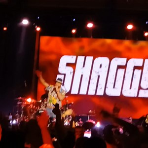 Culture | Ponyboy Curtis