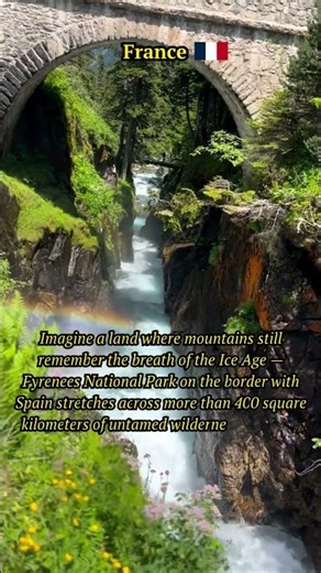 France's Wild Paradise: Pyrenees National Park 🏔️ #travel #scenicjourney