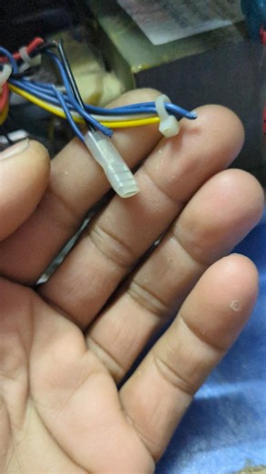 mouse attack on microwave oven