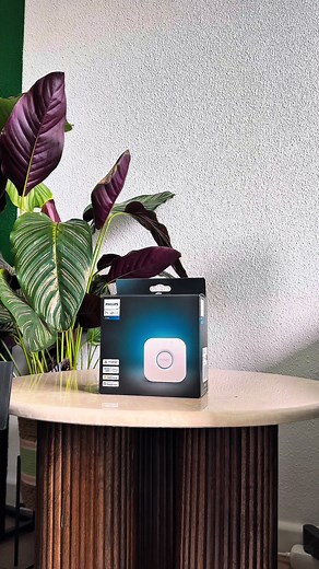 Understanding the Philips Hue Bridge: Smart Home Control