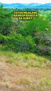 Kung ganito matatagpuan mong aswang sa gubat magpapakain ka rin? Miss Chin VLOGS Mangyang Pangit #kalyebasib #OccidentalMindoro #provincelife #sanjose #teamgoodvibes | Kalyebasib - Occidental Mindoro