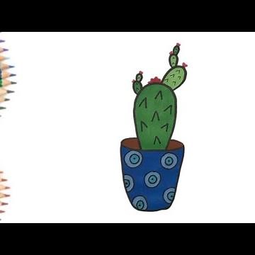 Easy Cactus Drawing Tutorial 🌵 | Learn to Draw in 3 Minutes