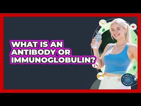 What Is An Antibody Or Immunoglobulin? - All About the Immune System
