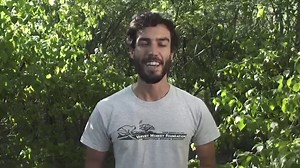 The Vervet Forest - Episode 23 - Baby Vervet Monkey's Jerry, DD and Joby meet their new foster mom monkey Mrs. Gold. Orphan Stick's tail is amputated by vets. Baby monkey Merlin's doing great. Dylan's still a doofus. Norah is a sweetheart. Elliot moves to Engeltjie. Shemesh - a new baby, arrives at the VMF. | The Vervet Forest