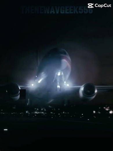 Los Angeles ￼ runway disaster