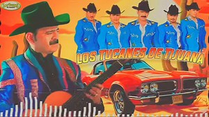 Los tucanes de tijuana...corridos mix | Alejandro Ruiz
