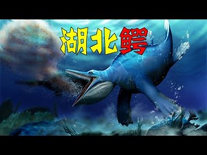 三叠纪的须鲸？第一位滤食的海爬，鱼龙的近亲-湖北鳄（Hupehsuchus）