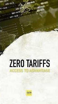 China's zero-tariff policy for 53 African countries takes effect