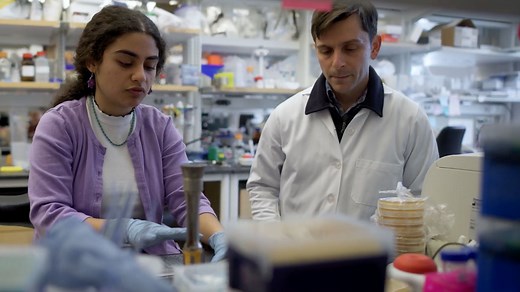 Light Lab: Understanding the gut microbiome to treat disease