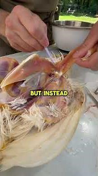 How To Process Chickens QUICK and DIRTY 🐓 Easy Method!