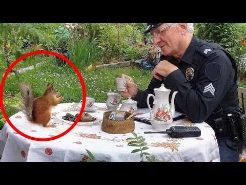 When Animals Meet Police for the First Time 😂 Funniest Animals Video
