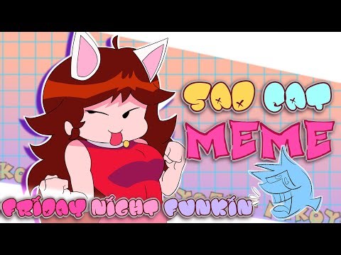 SAD CAT DANCE || MEME || Friday Night Funkin Animation #fridaynightfunkin