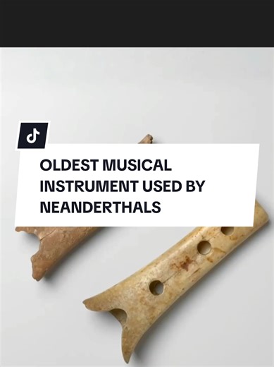 This Neanderthal flute was carved from the bone of a bear and found in a Neanderthal cave, right next to a hearth. It was probably used in gathering. Video: “Playing the Neanderthal flute of Divje babe”by Sašo Niskač. Music performed by Ljuben Dimkaroski Source: cox.si/tidldibab.pdf