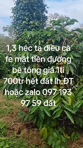 Hau Le Van on Reels