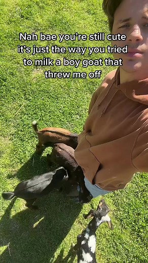 Who’s gonna tell them🤨 #reels #viral #babygoat #goat #feedingtime #farmlife | Goat Daddy's Farm