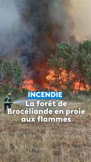 Un important incendie s’est déclenchée ce jeudi 17 juillet aux portes de la forêt de Brocéliande sur la commune de Tréhorenteuc dans le Morbihan. Plus de 200 sapeurs-pompiers, de gros moyens de lutte contre les incendies et un support aérien ont été mis en œuvre. Alors que l’incendie s’est déclaré vers 16h, à 18h la Préfecture avançait le chiffre de 60 ha de végétation déjà brûlés. #incendie #bretagne #brocéliande | France 3 Bretagne