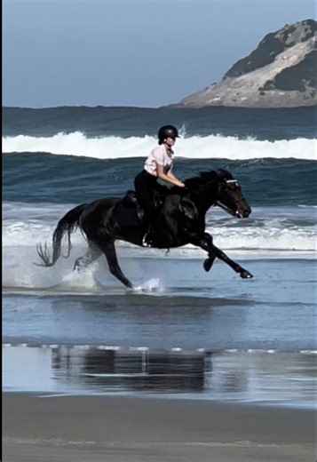 Top Equestrian Moments: Galloping on the Beach