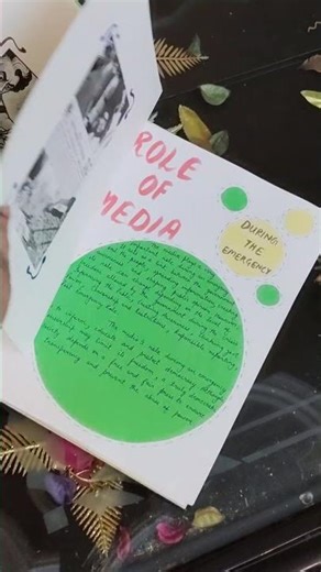 Topic Emergency political science project file 🗄️❤️