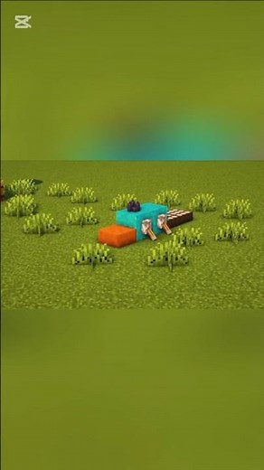 how to build Perry the platypus in minecraft