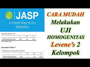 EASY WAY TO PERFORM HOMOGENITY TEST (LEVENE'S) FOR 2 INDEPENDENT GROUPS