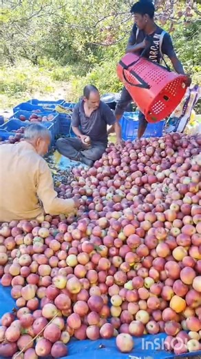 வாழ்க வளமுடன் When we live close to Mother Nature, she rewards us...