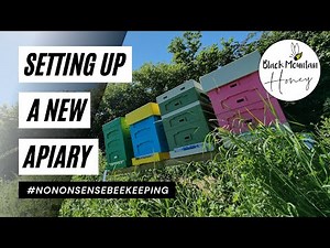 Set Up A New Apiary - Best Hive Site, Stands, and Layout for UK Beekeeping