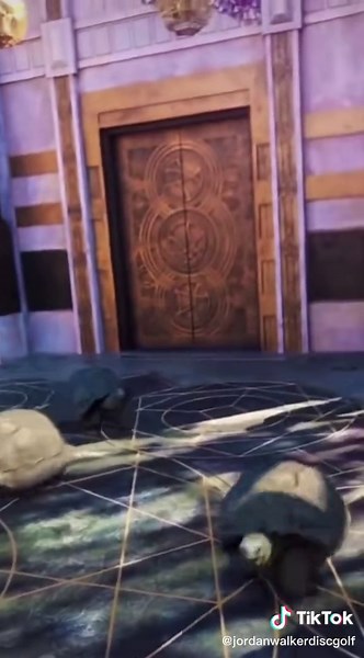 Tortoises Exploring a Beautiful Outdoor Setting