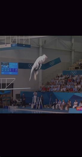 animals do tricks on the diving board