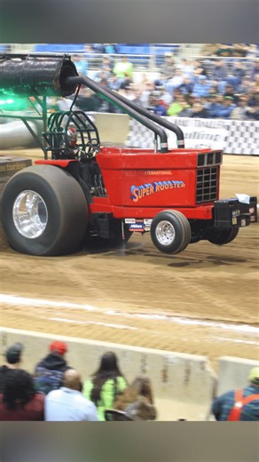 Bird Show Highlights at Keystone Nationals 2016