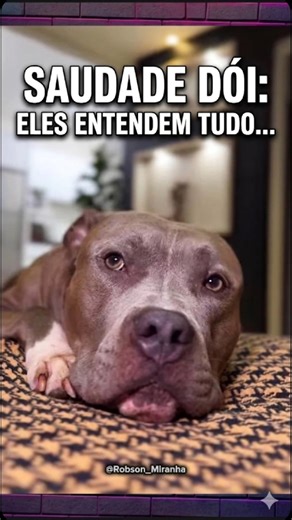 O que o seu pet faz quando você demora a chegar?" #shorts #dog #cachorro #edits