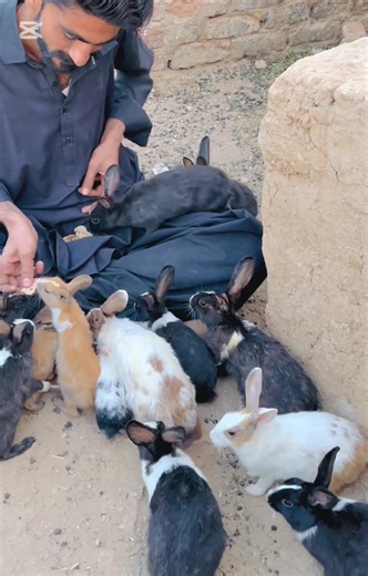 #balochisong #❤️‍🔥#fyppppppppppppppppppppppp #fypppppppppppppp #fyppppppppppppppppppppppppppppppppppp #fyppppppppppppppppppppppp @Ali Murad Bugti @💫CHAKRANI💫