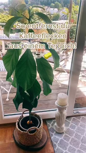 Kaffeeflecken Entfernen: Einfache Tipps und Tricks