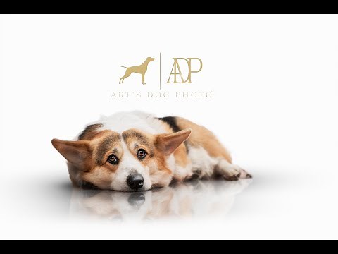 Photoshop Tutorial: How to Create a Perfect Mirror Effect