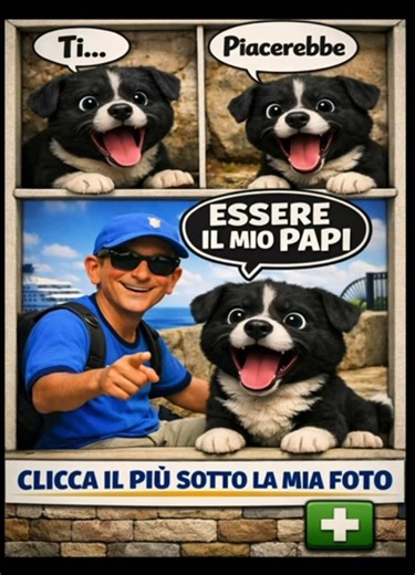Ti piacerebbe essere il mio papi? Se è si clicca il più a destra sotto, la mia #CaneCucciolo #AdozioneCani #CuoreDiCane
