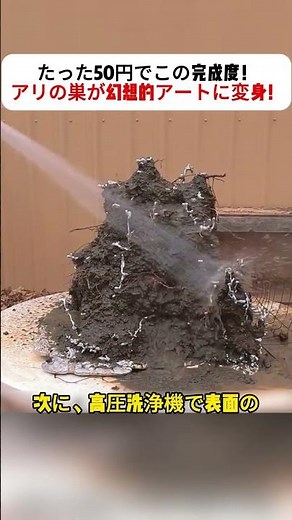 たった50円でこの完成度！ アリの巣が幻想的アートに変身！ #金属アート #DIYオブジェ #自然と創作 #リサイクルクラフト #唯一無二の作品