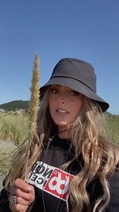 20K views · 337 reactions | The foxtail plant is a grass-like weed....