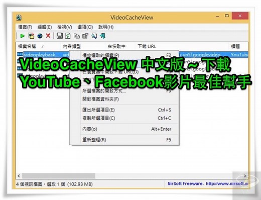 VideoCacheView 中文免安裝版 ~ 下載 YouTube、Facebook影片最佳幫手