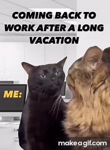 coming back from long vacation on Make a GIF