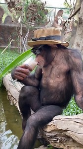 Enjoying that £14 double vodka orange juice you got in the club 🍹 🌞 📸 Saif Ahmad Belhasa | Mr. Afterparty