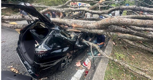 Kereta dihempap pokok: Dua pensyarah UiTM dirawat di zon kritikal | Harian Metro