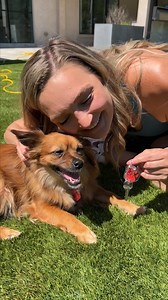 55K views · 351 reactions | Friendship tags with my best friend 﫶 | Best Videos | Facebook