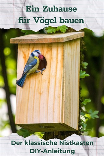 Nesting Box Building Instructions PDF | DIY Birdhouse | Easy Construction Plan for Children & Families | Wooden Birdhouse Project - Etsy