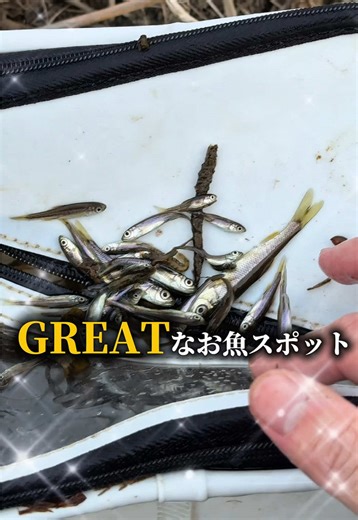 スーパーグレイトなビオトープの楽しみ方