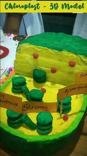 Chloroplast -3D model