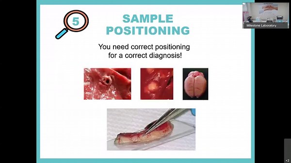 5 Most Common Problems with Frozen Sections and How to Solve Them