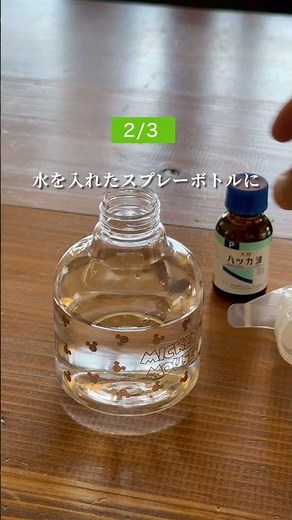 家に虫が出なくなる！超簡単な「虫対策3選」をご紹介！【オーダーガラス板.com】