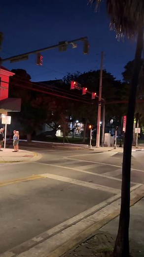 More of the amazing @greenparrot 💚🦜 - #greenparrotbar #keywest | Backyards of Key West Gallery