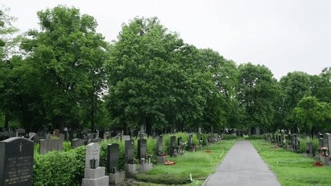 clip-3991576379-wind-stirs-tall-trees-gravestones-rest-silence