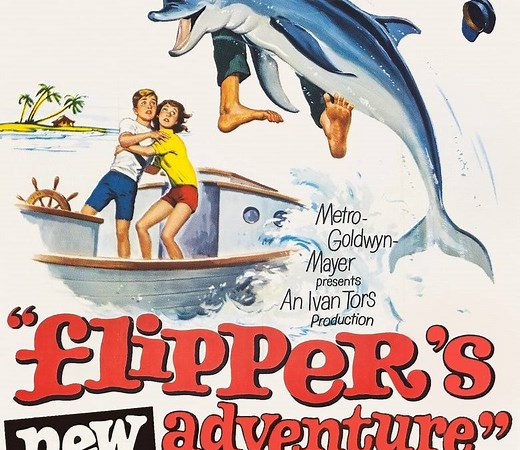 Flipper's New Adventure Summary, Trailer, Cast, Where to Watch and More