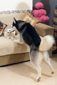 yt.openinapp.co/bt9zg 👈🏻(FULL VIDEO ) click & Watch | Review Reloaded